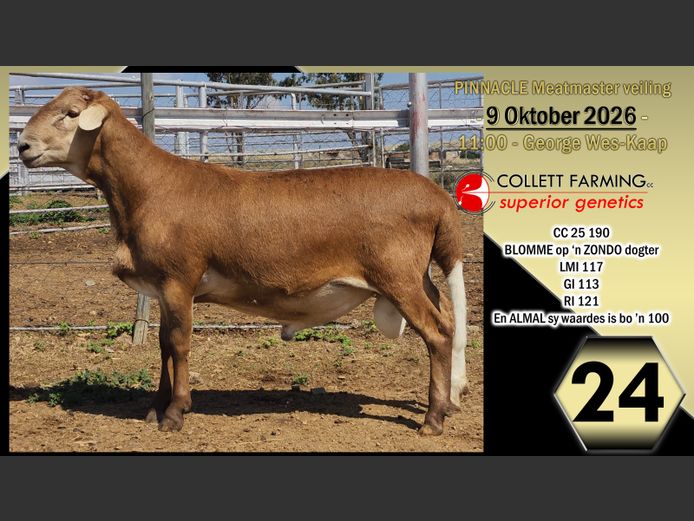 CC250190 | COLLETT FARMING CC