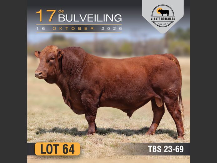 TBS230069 | THABA KWENA BONSMARAS
