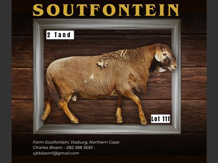CB 240137 | SOUTFONTEIN MEATMASTERS