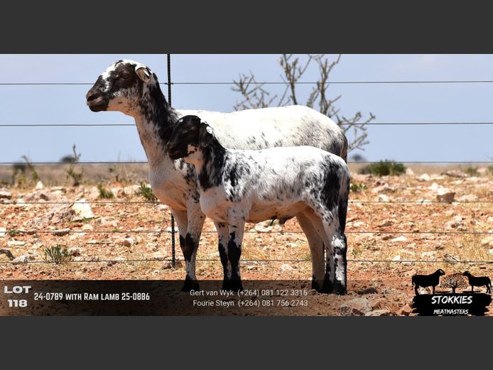 HWH24-0757 | Stokkies Meatmasters