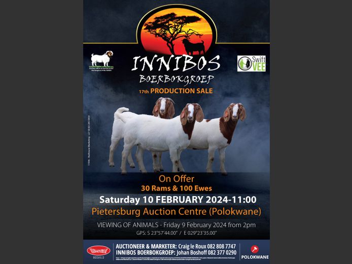 INNIBOS BOERBOKGROEP 17TH PRODUCTION SALE