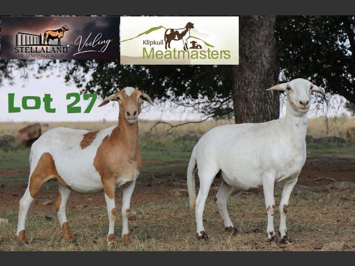 JAD2144 | Klipkuil Meatmasters