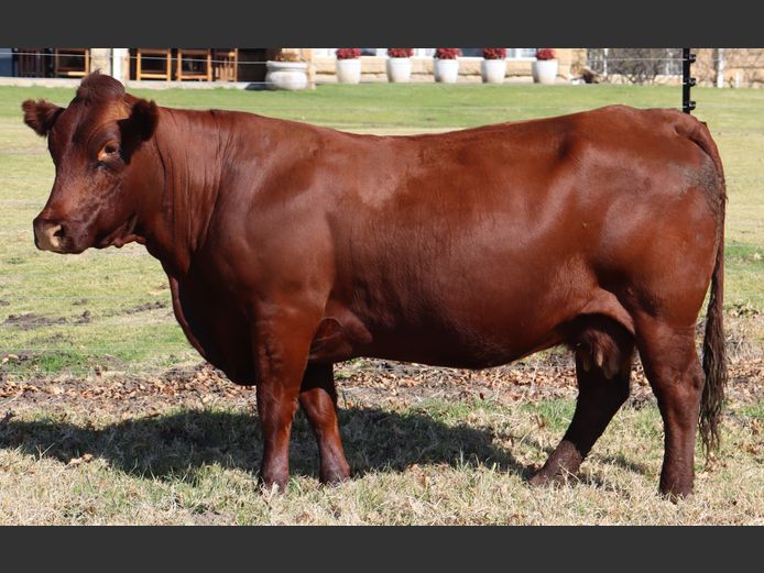 CEF 160271