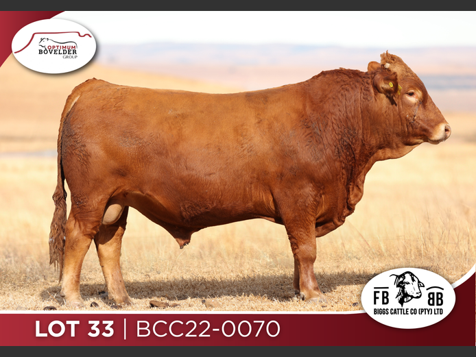 BCC22-070