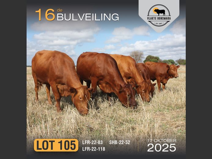 Commercial Animals | LFR BONSMARA STOET