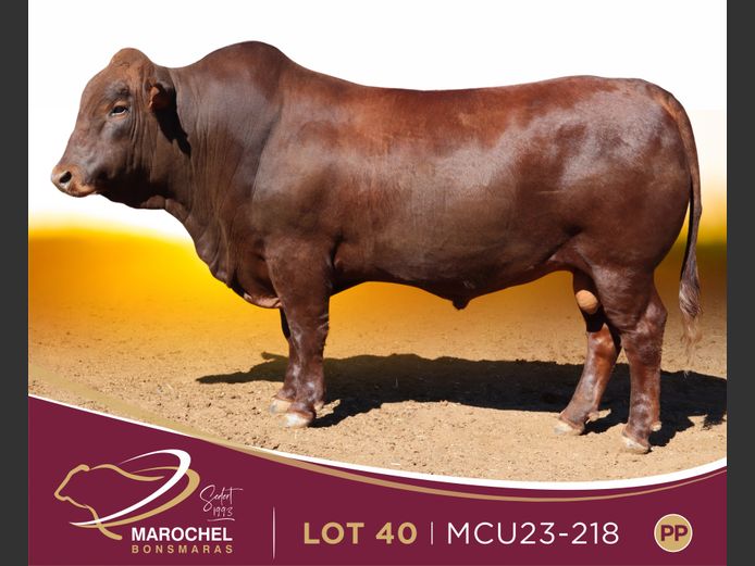 MCU 230218
