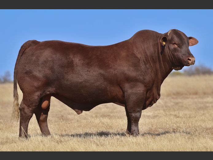 VV  220205 | T. DE JAGER