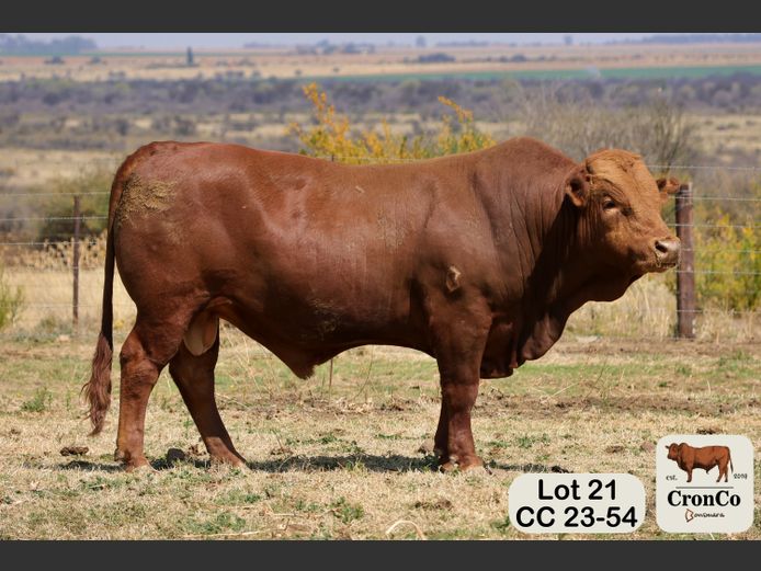 CC 230054 | CRONCO AGRI