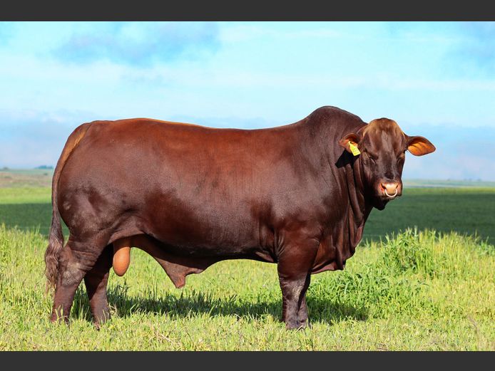 KT  220022 | KOCH FAMILIE TRUST