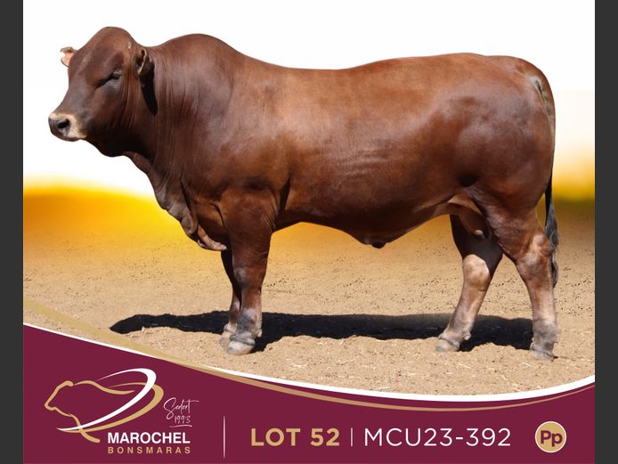 MCU 230392