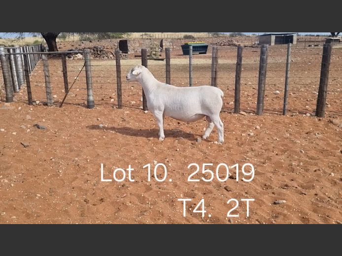 916250019W | R.J. CAHI & SON CC