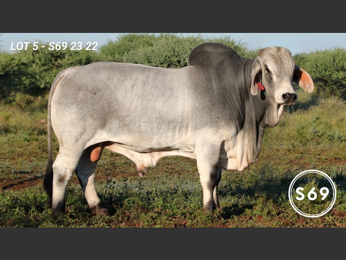 S692322 | JP Sakebelange BK