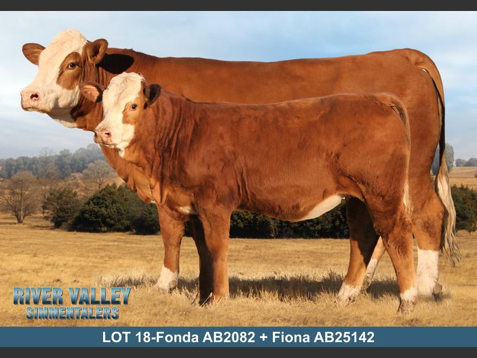 AB2082 | PA ABRAHAMSE