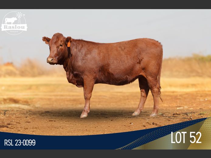 RSL 230099 | RASLOU BONSMARAS