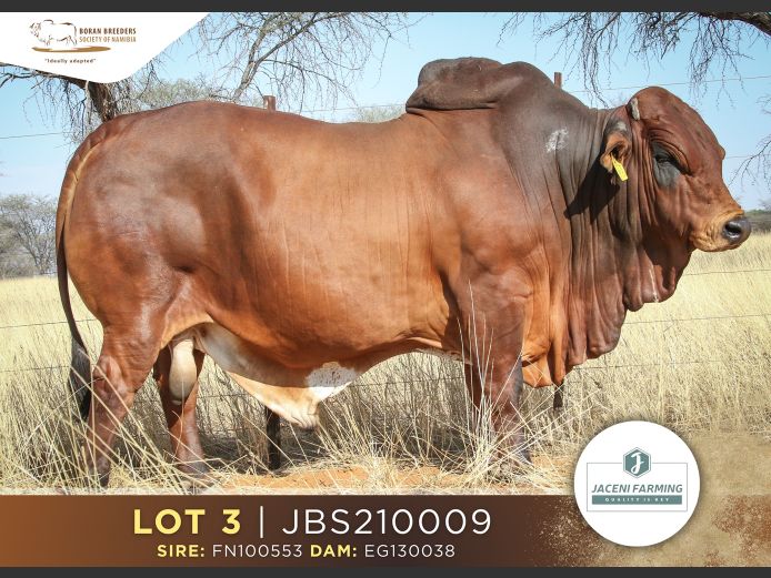 21-0009JBS | JACENI FARMING