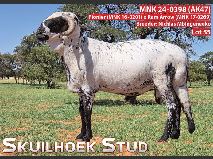 MNK 24-0398 (AK47) | Nichlas Mbingeneeko