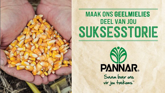 Products and Services