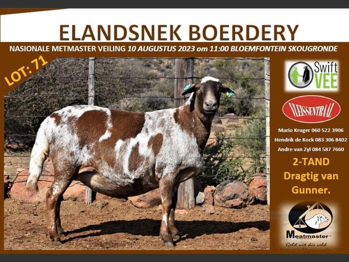Ooi | ELANDSNEK BOERDERY