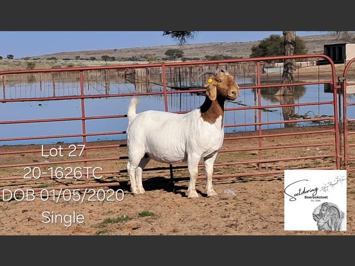 20-1626TC | THEUNS COETZEE
