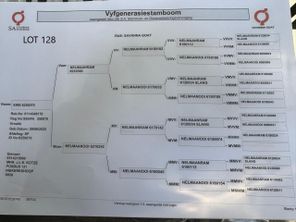 genetic_data