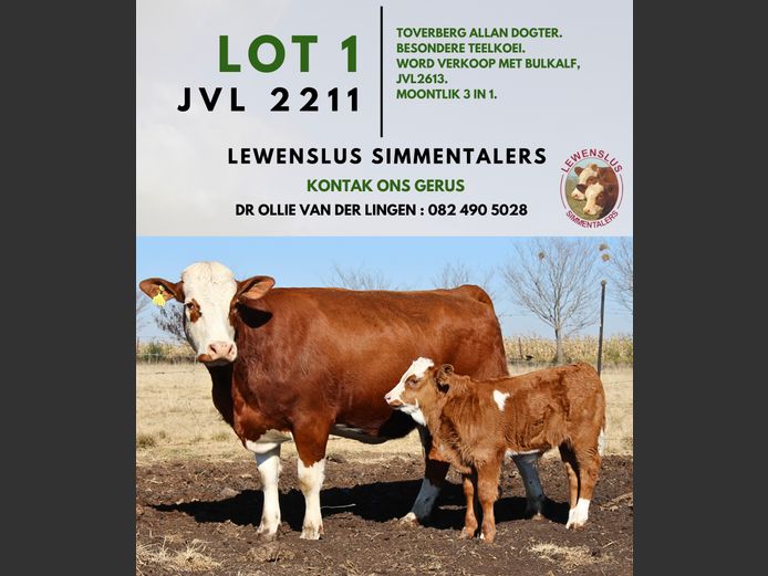 JVL2211 | DR JSH VAN DER LINGEN