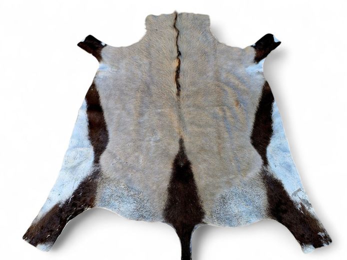 Vintage Gemsbok, Oryx Hide Rug