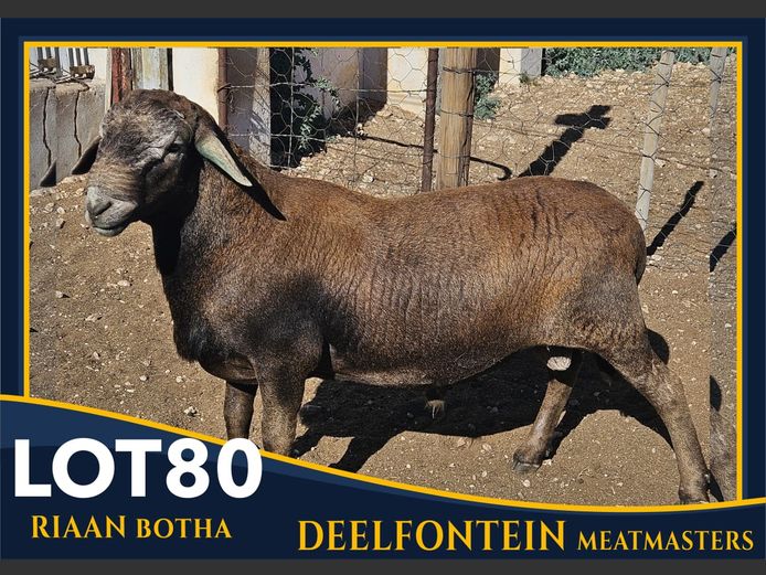 RBF 230003 | DEELFONTEIN MEATMASTERS