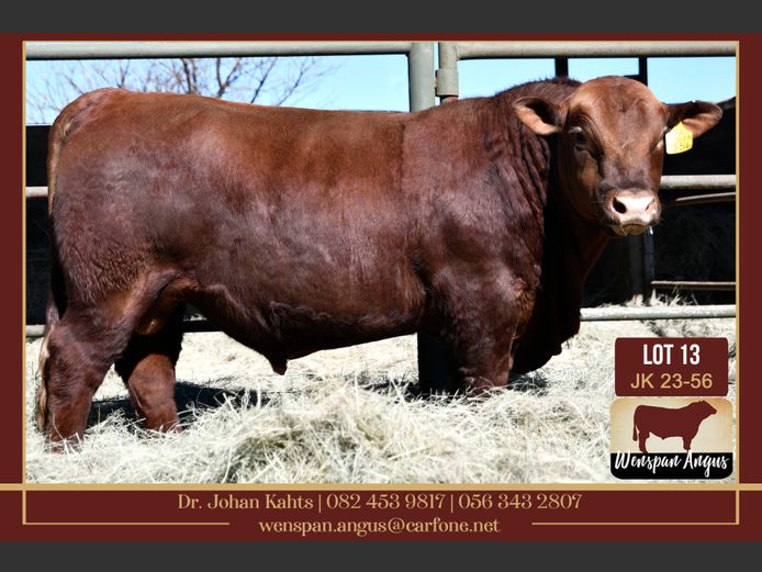 JK 230056 | J. KAHTS