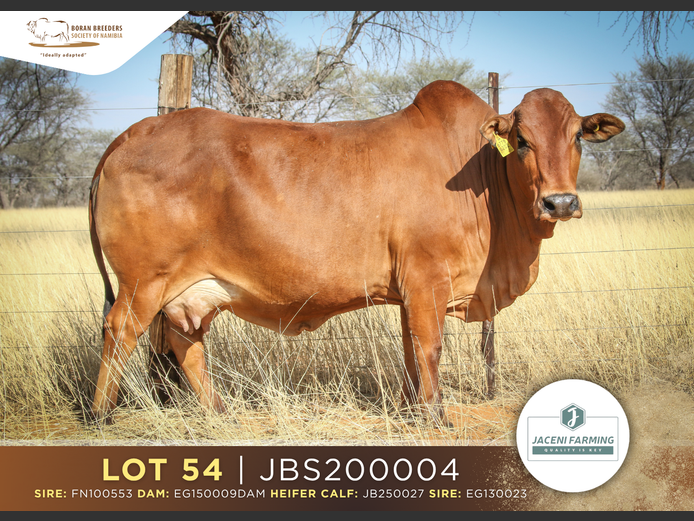 20-0004JBS | JACENI FARMING