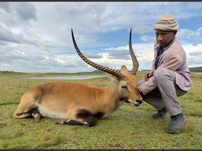 Lechwe