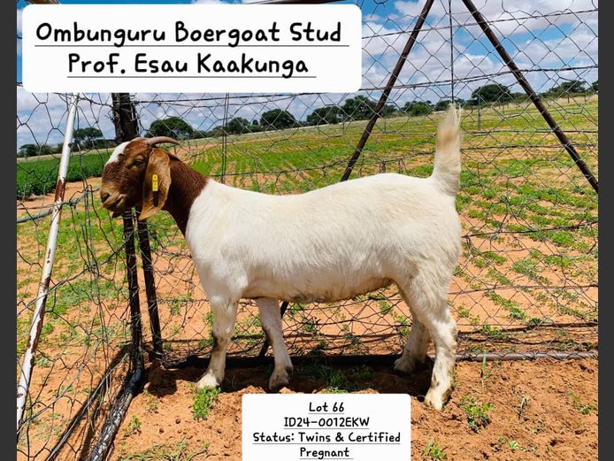 24-0012EKW | PROF. ESAU KAAKUNGA