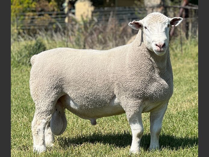 JB240121 | J.A BARNARD