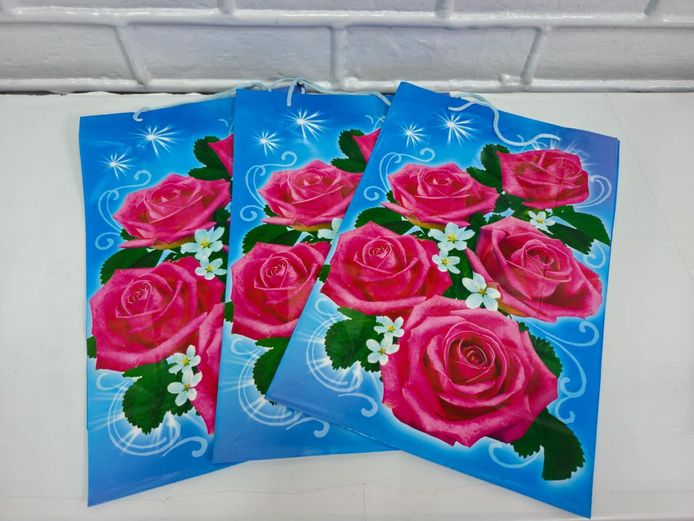 3-Pieces Floral Gift Bags Blue Pink Rose Design with Handles
