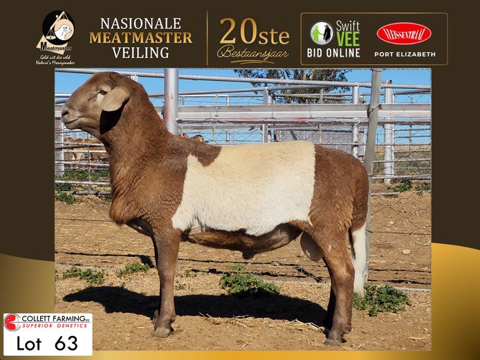 CC 250179 | COLLETT FARMING CC
