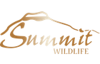 Summit Wildlife