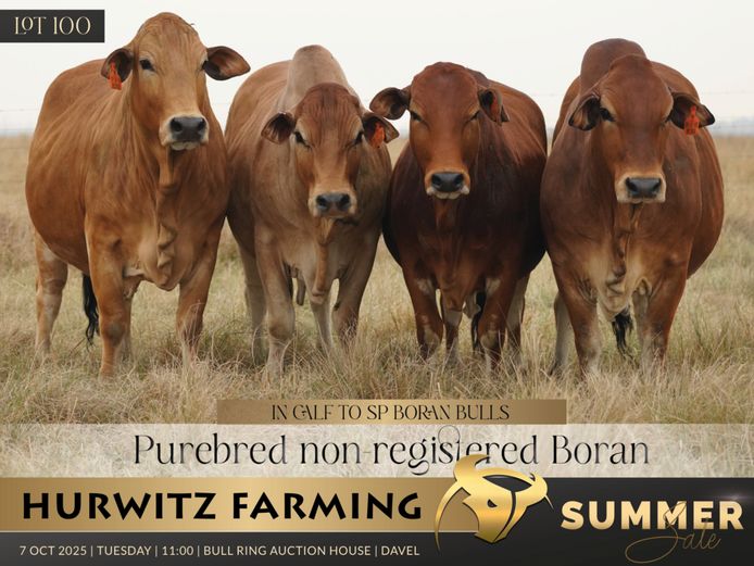 Commercial Animals