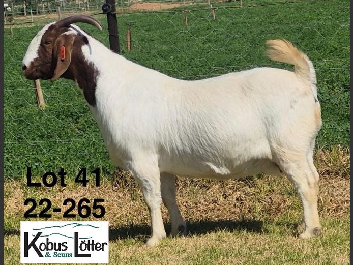 1384220265 | DIRK LOTTER