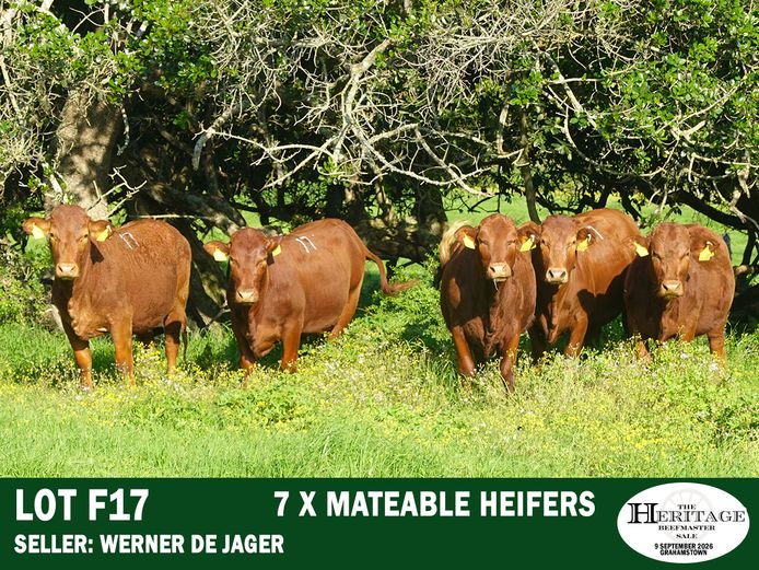 Commercial Animals | Werner ⁠de Jager