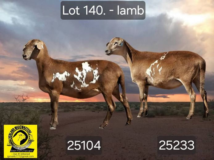 25233 | 25104 | VERLAND MEATMASTERS