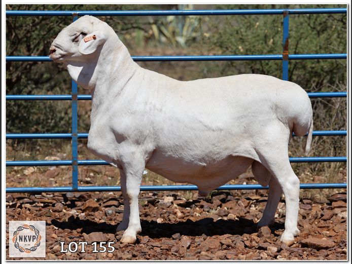 34 24 0424 | LOUIS VAN RENSBURG, H/A LEEUPUT TRUST