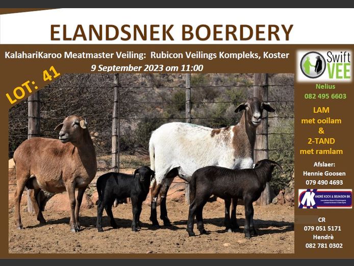 RSL 41A | ELANDSNEK BOERDERY