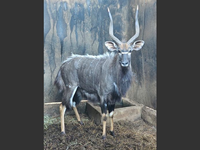 NYALA | FRANS SMIT TRUST