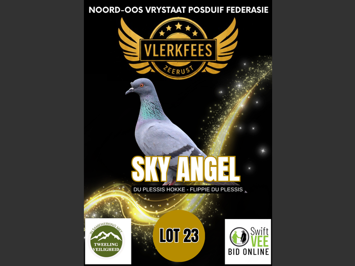 SKY ANGEL | DU PLESSIS HOKKE - FLIPPIE DU PLESSIS