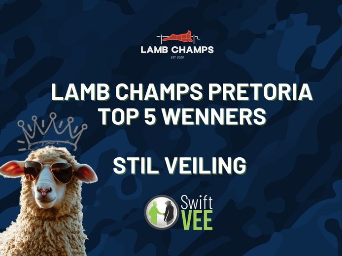 LAMB CHAMPS TOP 5 VEILING