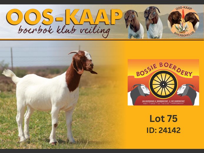 24-142 | Bossie Boerdery