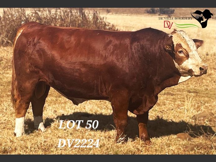 DV2224 | DE VILLE BOERDERY (EDMS) BPK