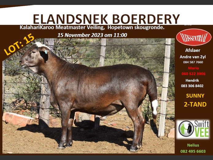 RSL B220 | ELANDSNEK BOERDERY