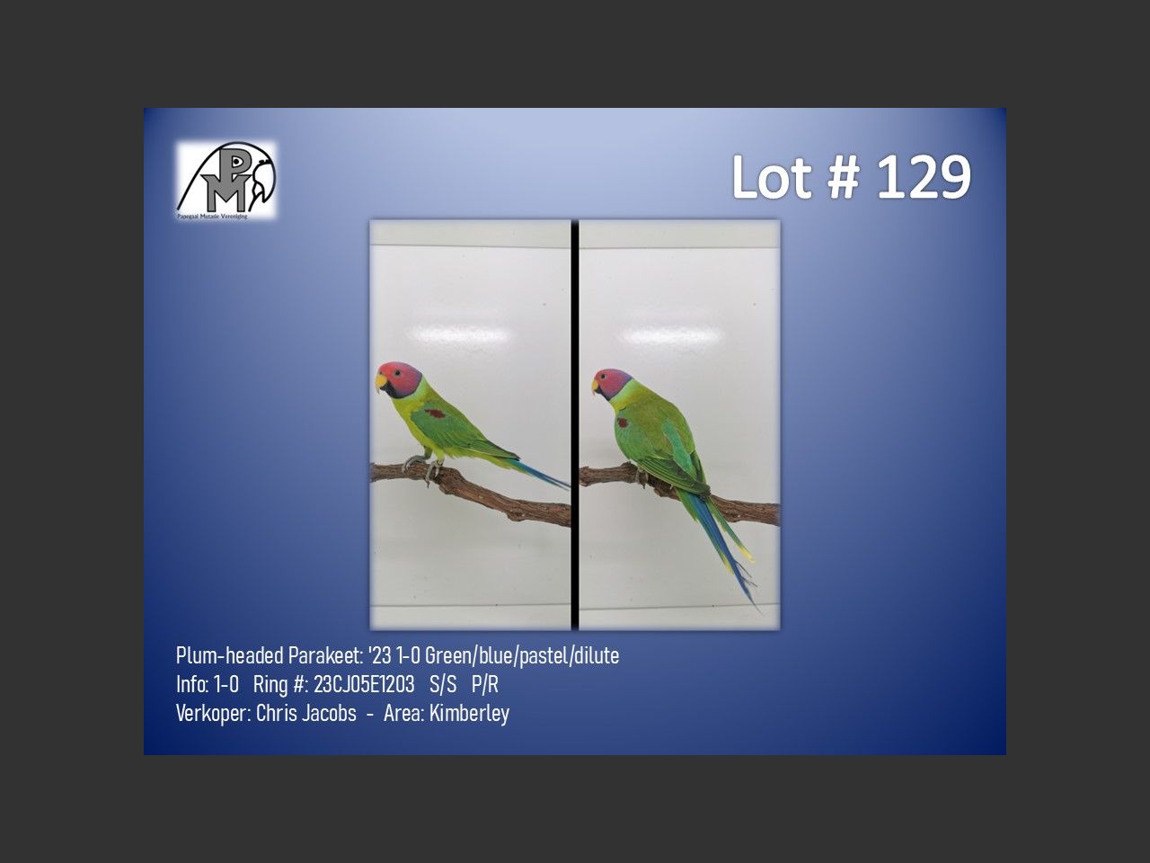 images