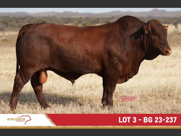 BG230237 | KRUGER BOERDERY