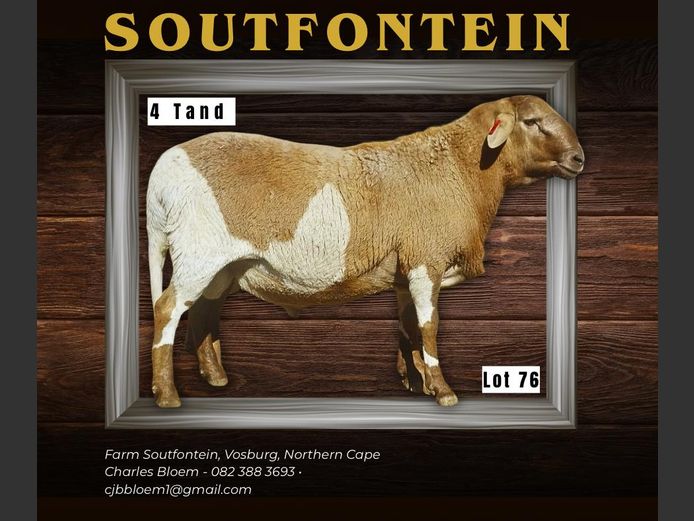 CB 240146 | SOUTFONTEIN MEATMASTERS